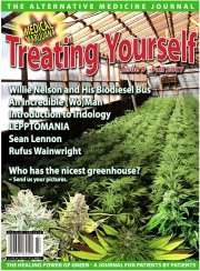issue 8