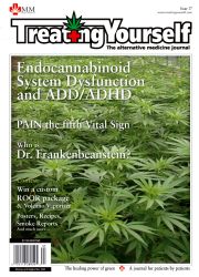 issue17