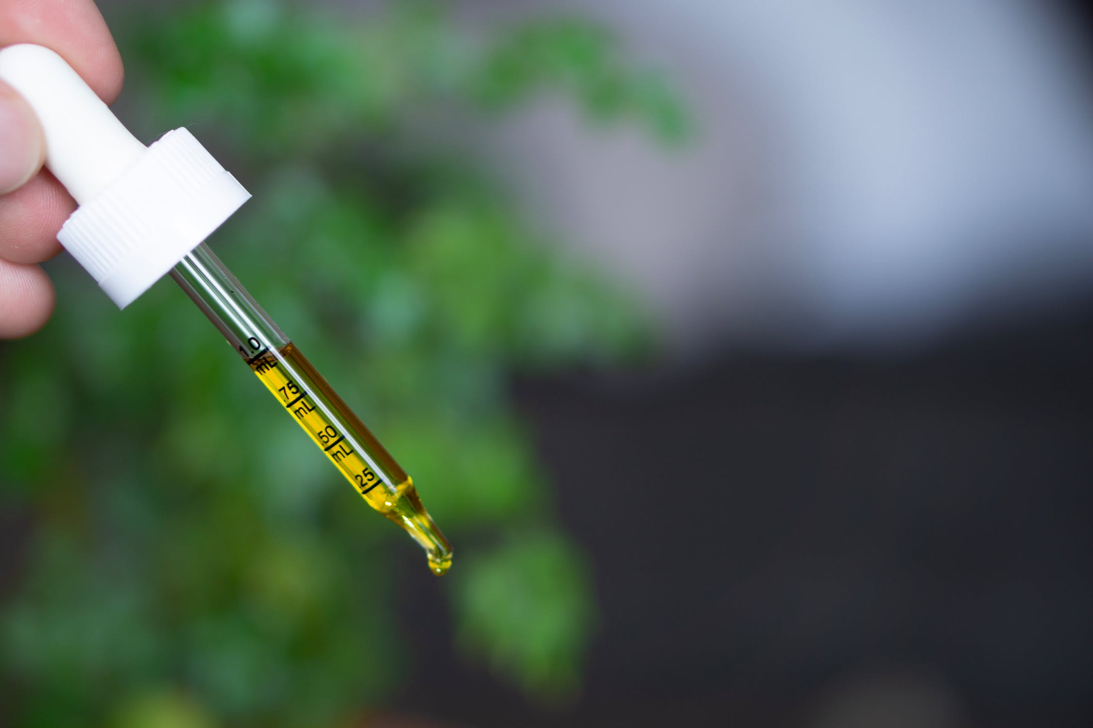 CBD Oil and Edibles: What Should You Know?